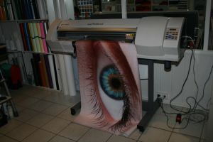 Bild1